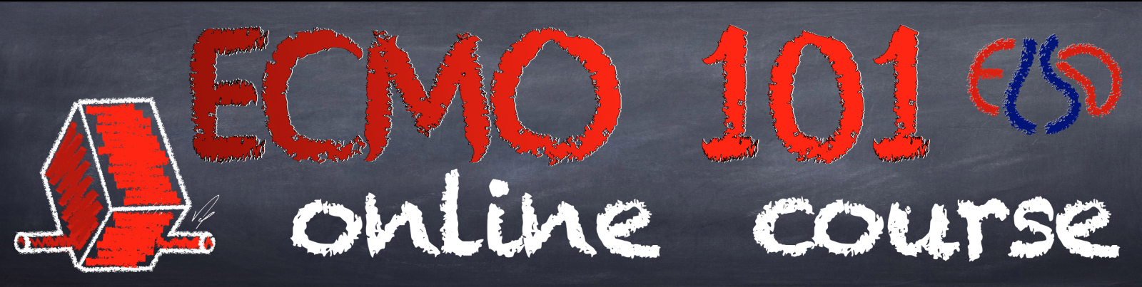 ECMO 101'